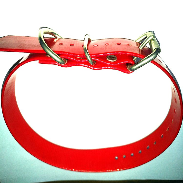 --Pet belt